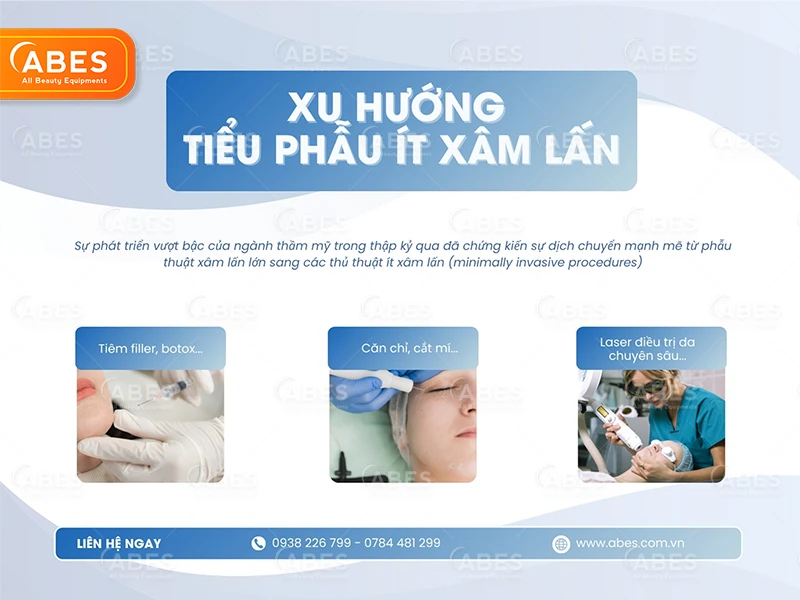 Danh Muc Giuong Tieu Phau Abes 1