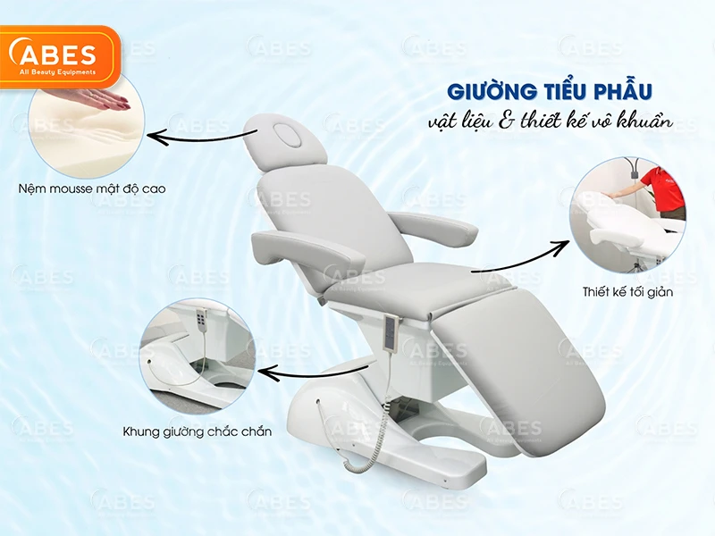 Danh Muc Giuong Tieu Phau Abes 3