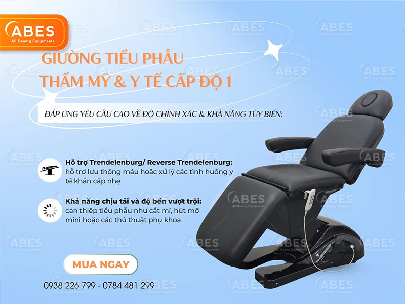Danh Muc Giuong Tieu Phau Abes 5