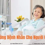 Giường Bệnh Nhân Cho Người Già Hỗ Trợ Sinh Hoạt Hằng Ngày Thế Nào?